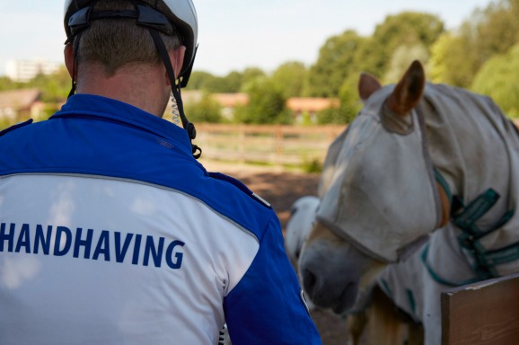 Paardenmishandeling Overal In Nederland | BNR Nieuwsradio