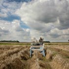 Landbouw-Nederland-578.jpg