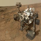 curiosity-578-1.jpg