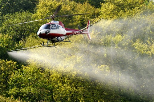 EPA