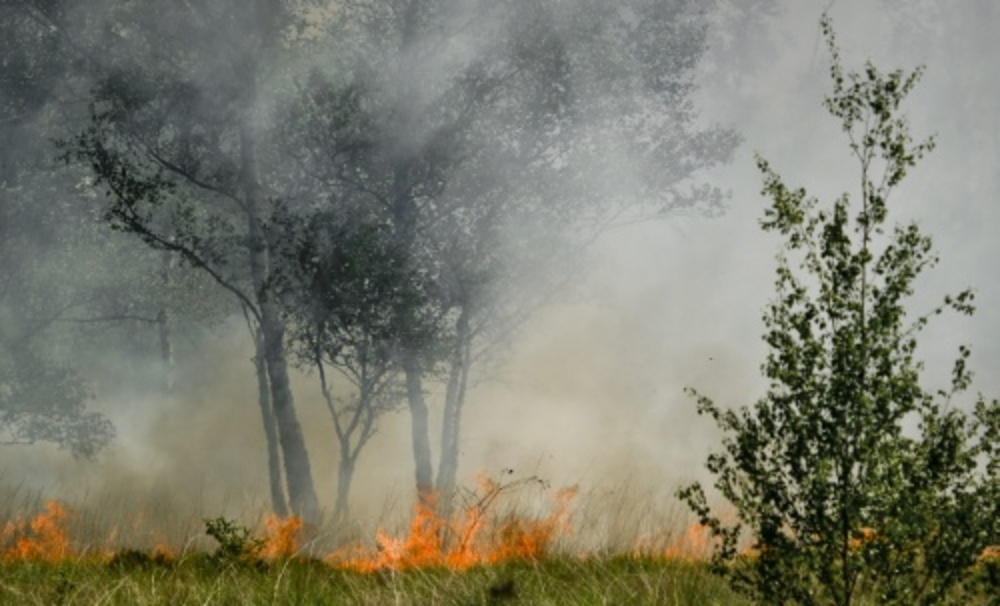 Brand in natuurgebied Aamsveen bij Enschede (archieffoto, juni 2011). ANP