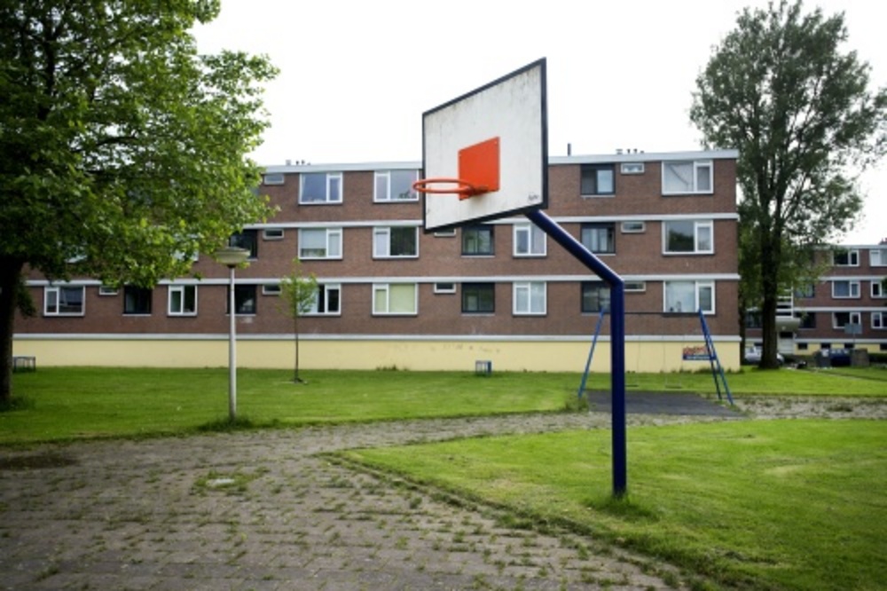 ANP