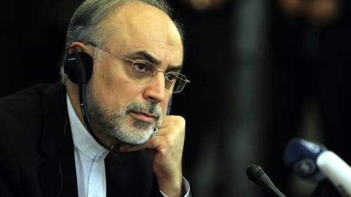 De Iraanse minister Salehi. EPA