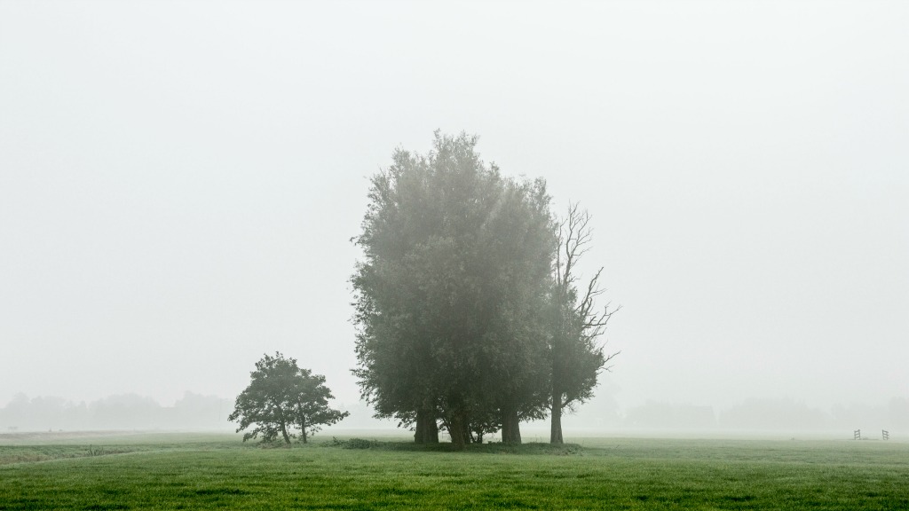Stukje natuur kopen?
