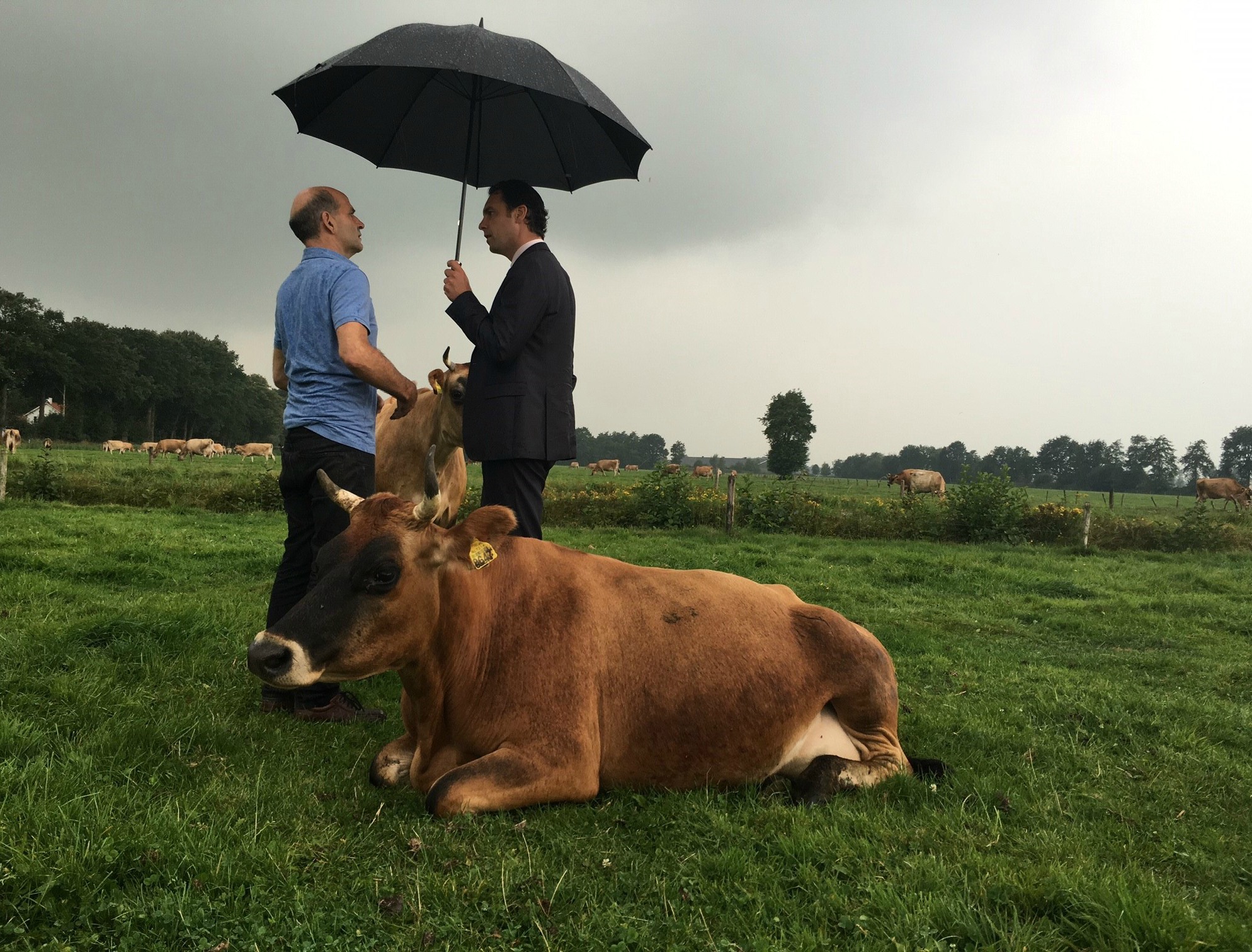 Foto: Martijn de Rijk