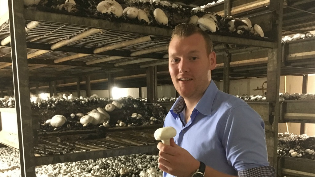 Foto: Rogier Dankerlui