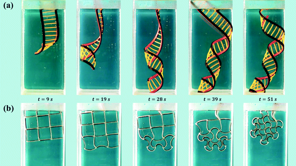 Deel van een afbeelding uit 'Programming the shape-shifting of flat soft matter: from self-rolling/self-twisting materials to self-folding origami' van S. Janbaz, R. Hedayatia en A. A. Zadpoora