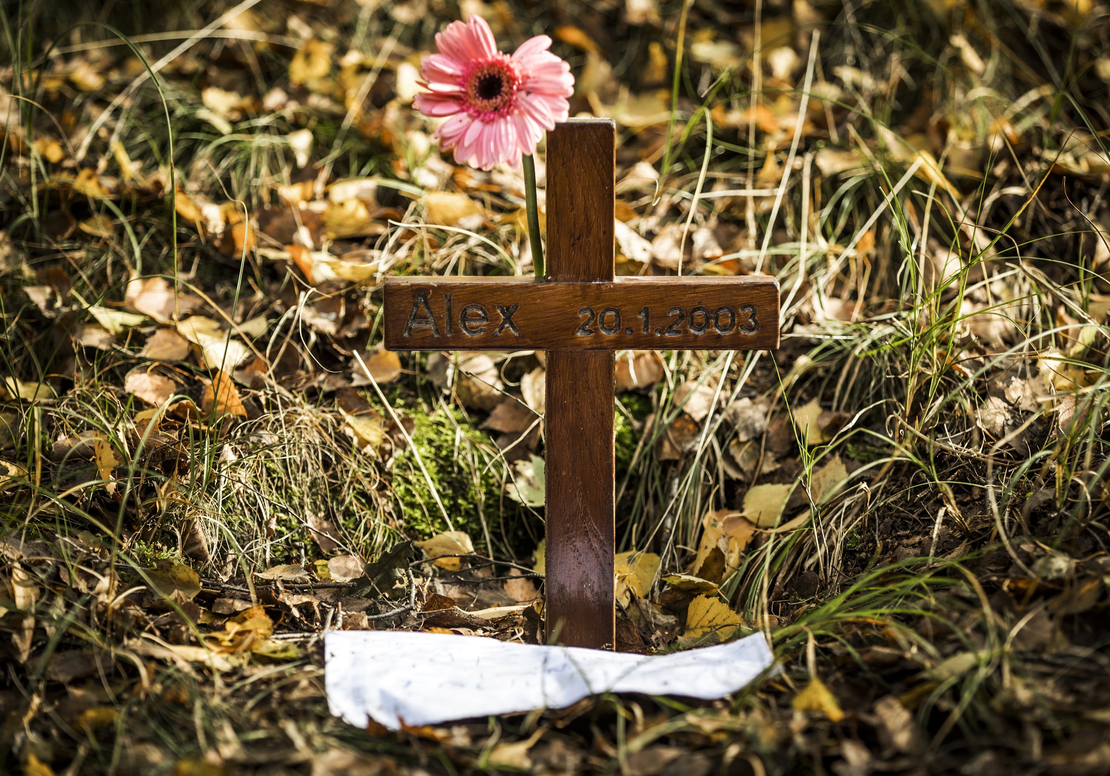 Een gedenkteken in natuurgebied de Posbank waar in 2003 de 44-jarige Alex Wiegmink verdween tijdens een rondje hardlopen. Foto ANP