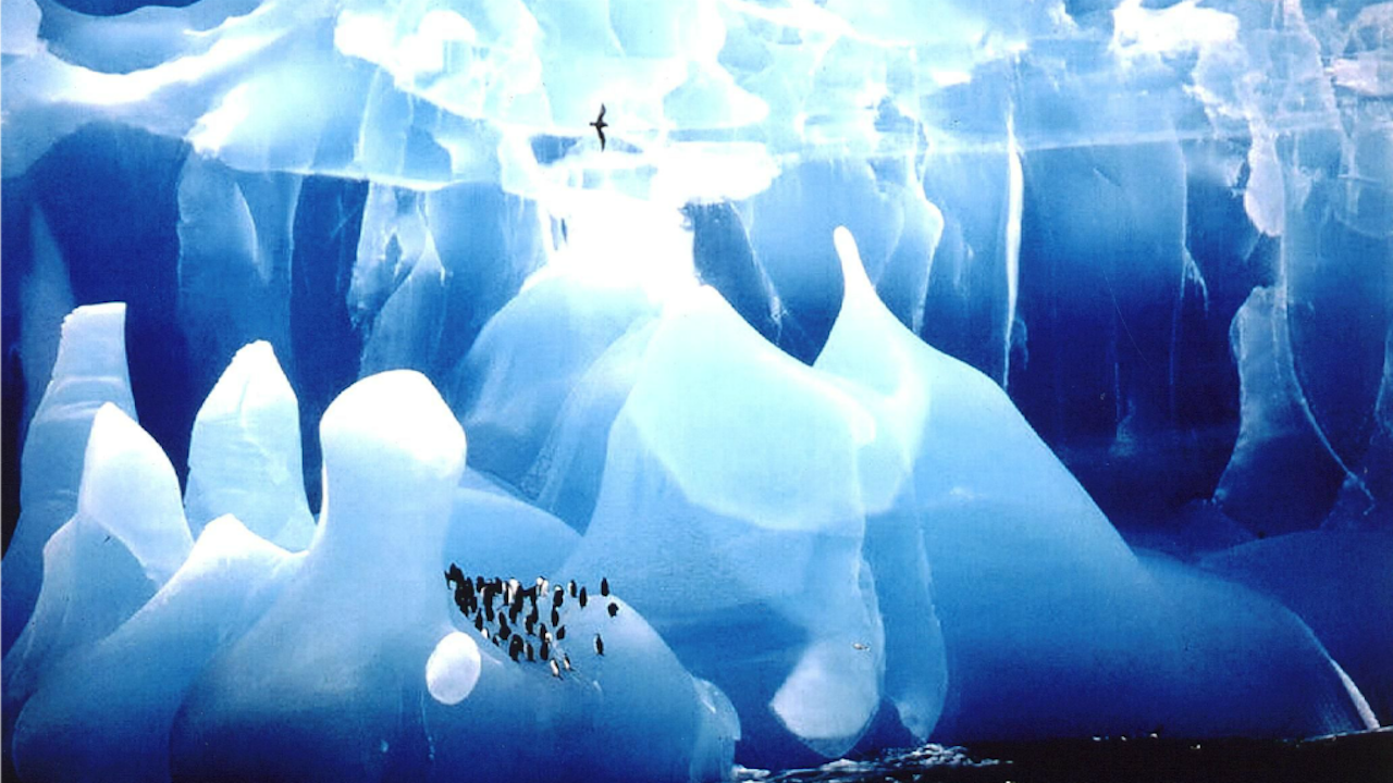 Blauwe IJsberg, Antarctica, winnaar van de Wildlife Photgrapher of the Year 1995 (Foto: Cherry Alexander, via ANP)