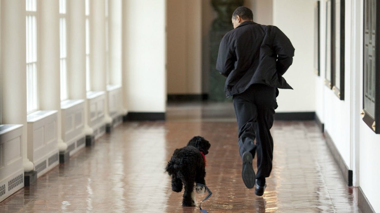 Zegenen Schotel Verrijken Acht jaar Obama in acht foto's | BNR Nieuwsradio