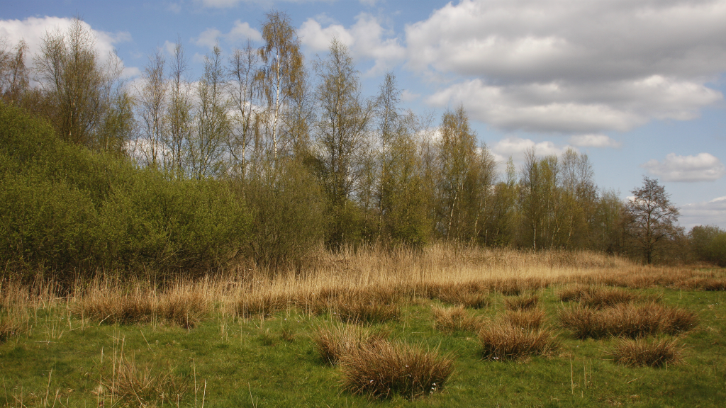Foto: Hollandse Hoogte