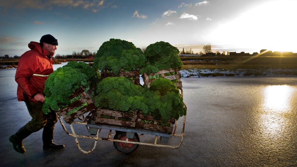 Het Sop De Kolen Waard