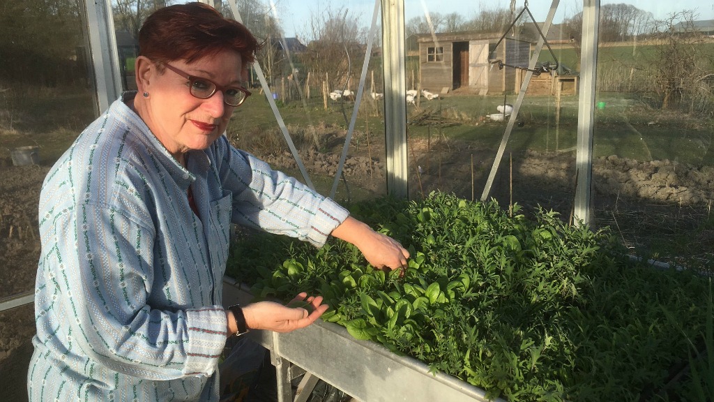 Alma Huisken in haar moestuinkas. Foto: BNR/Rogier Dankerlui