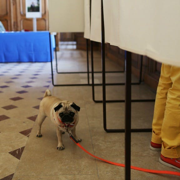 Dit moet je weten over de Franse verkiezingen