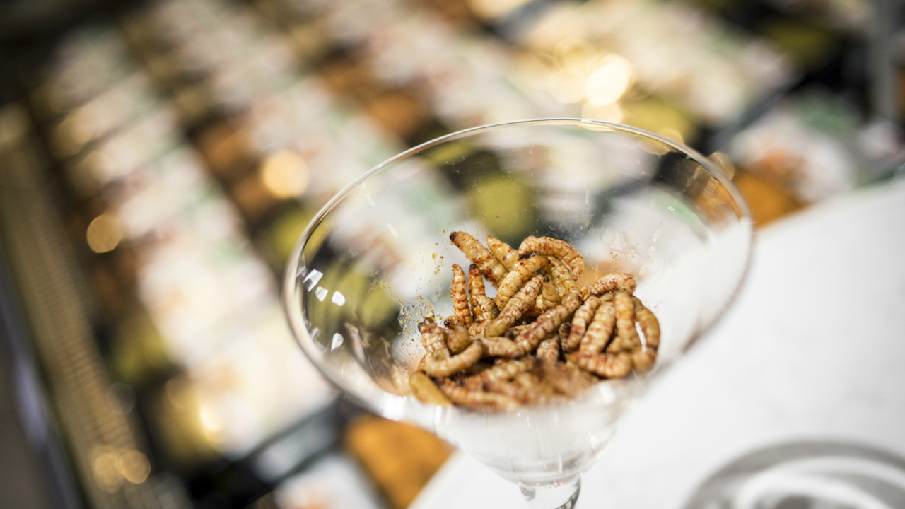 Foto uit 2014, toen bij supermarkt Jumbo eetbare insecten begon te verkopen. (Foto: Kees van de Veen/HH)