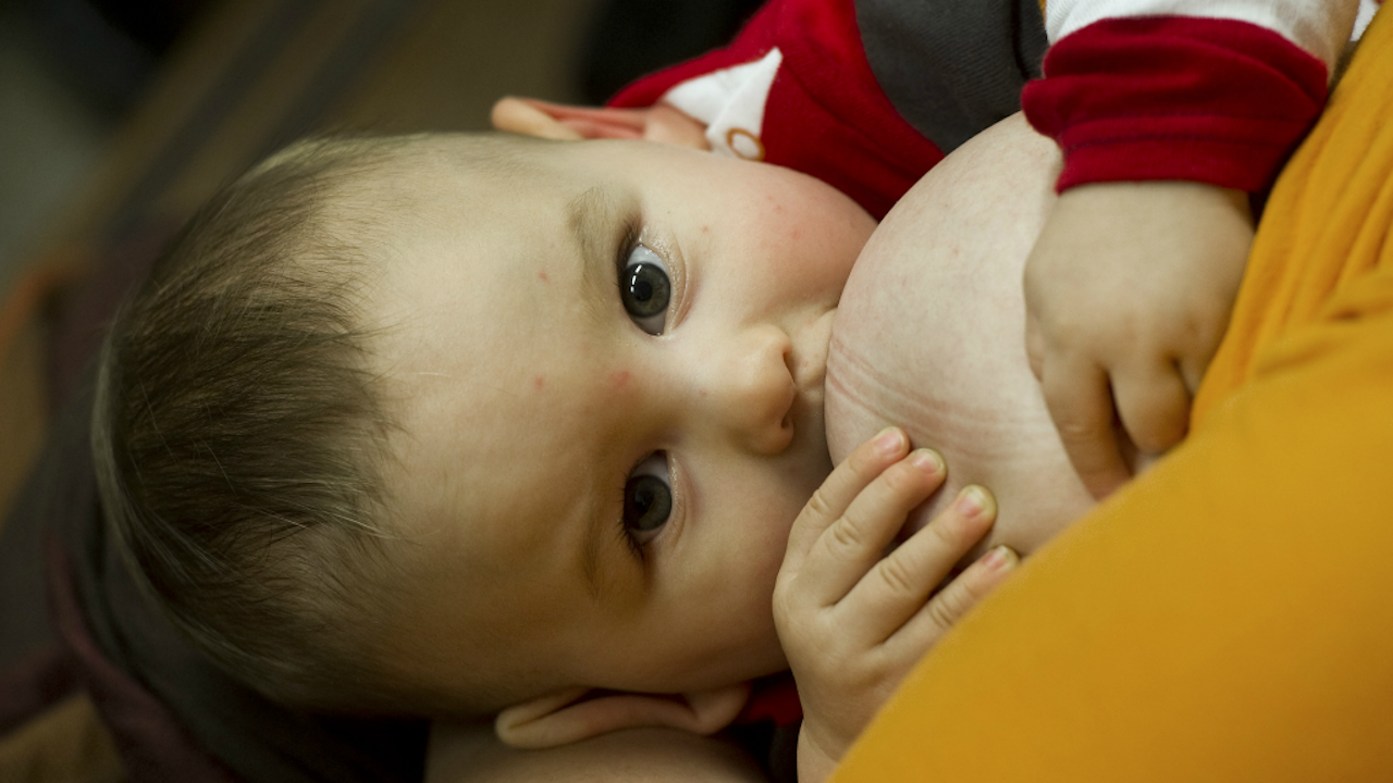 Een baby neemt deel aan een recordpoging simultaan borstvoeden in 2010. 158 kwamen naar Amersfoort en het record werd gevestigd. (Foto: ANP)