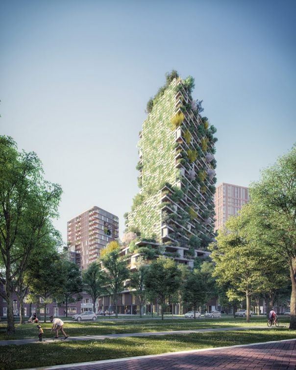Beeld: Wonderwoods