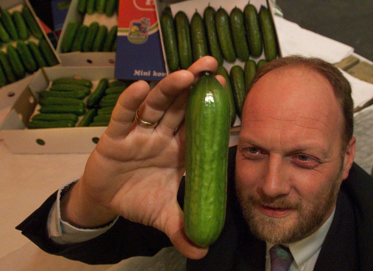 Dit is wat je krijgt als je in een fotodatabase op 'gewone Nederlander' zoekt: Eric Koreneef, eigenaar van een mini-komkommerkwekerij in Vierpolders.