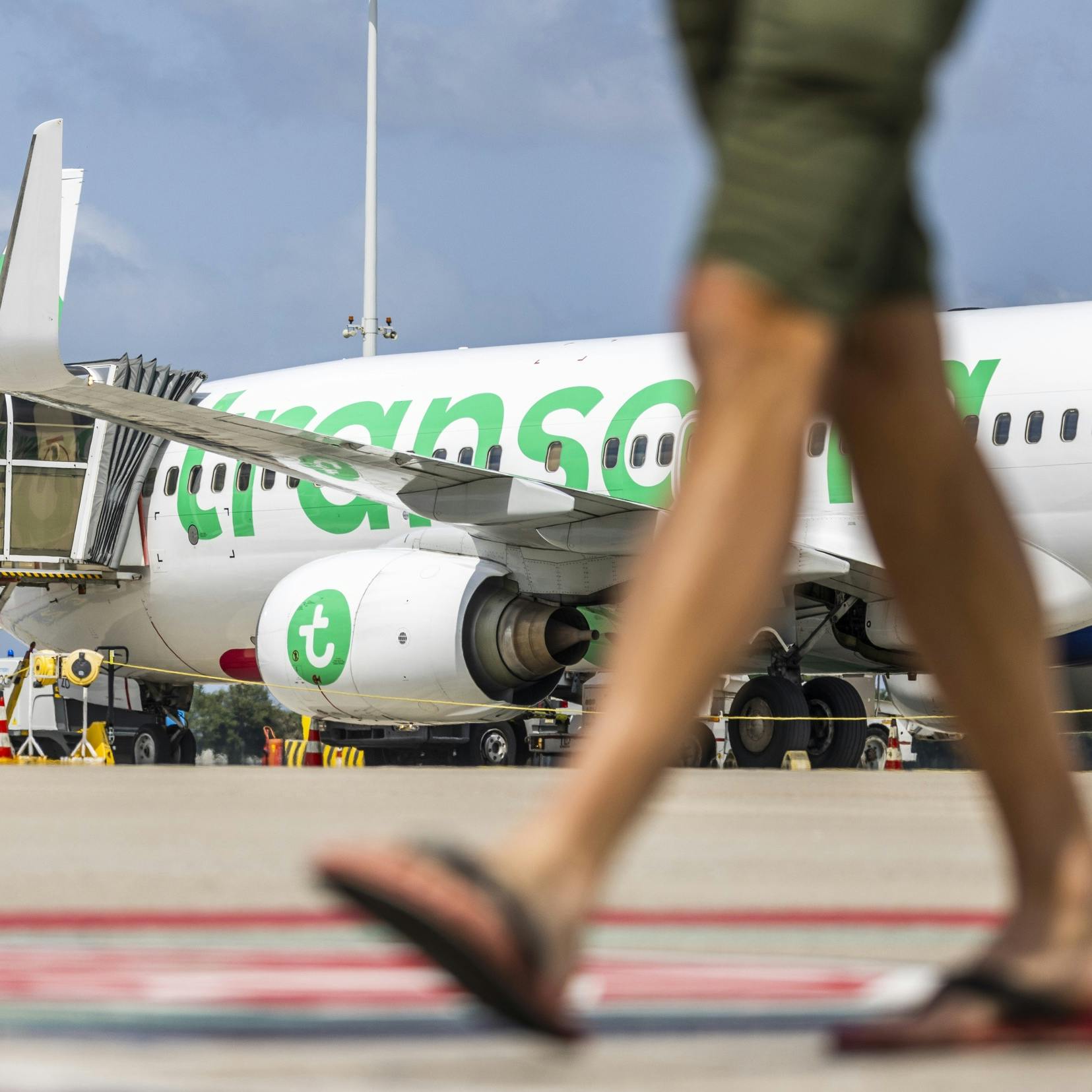 Transavia schrapt honderden vluchten deze zomer
