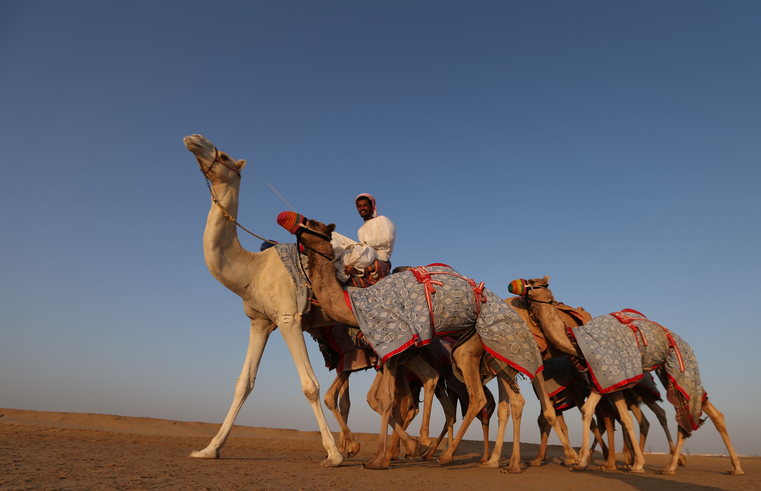 De woestijn van Abu Dhabi