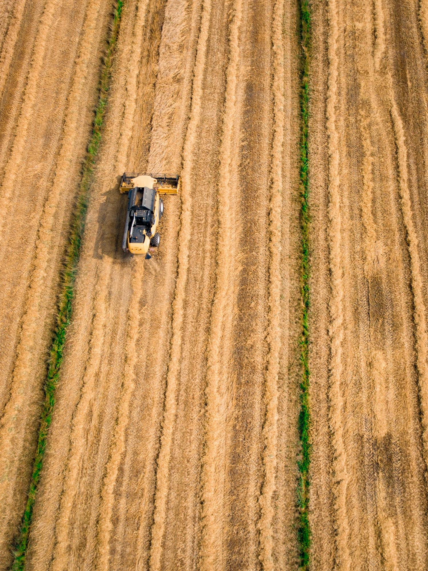 Ukraine’s Grain Export Route: Through Croatia’s Northern Port as a Mediterranean Hub