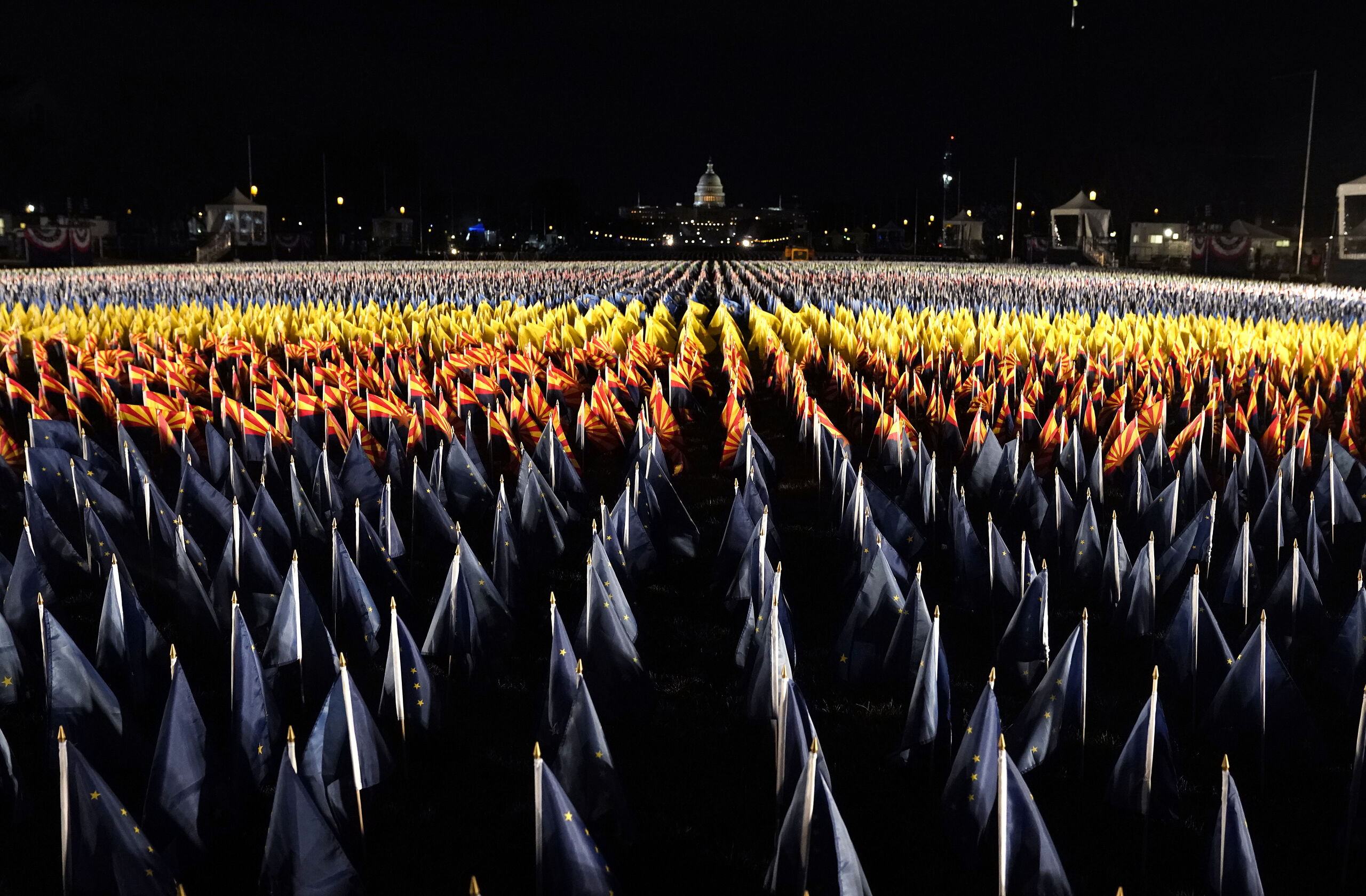 The Field of Flags
