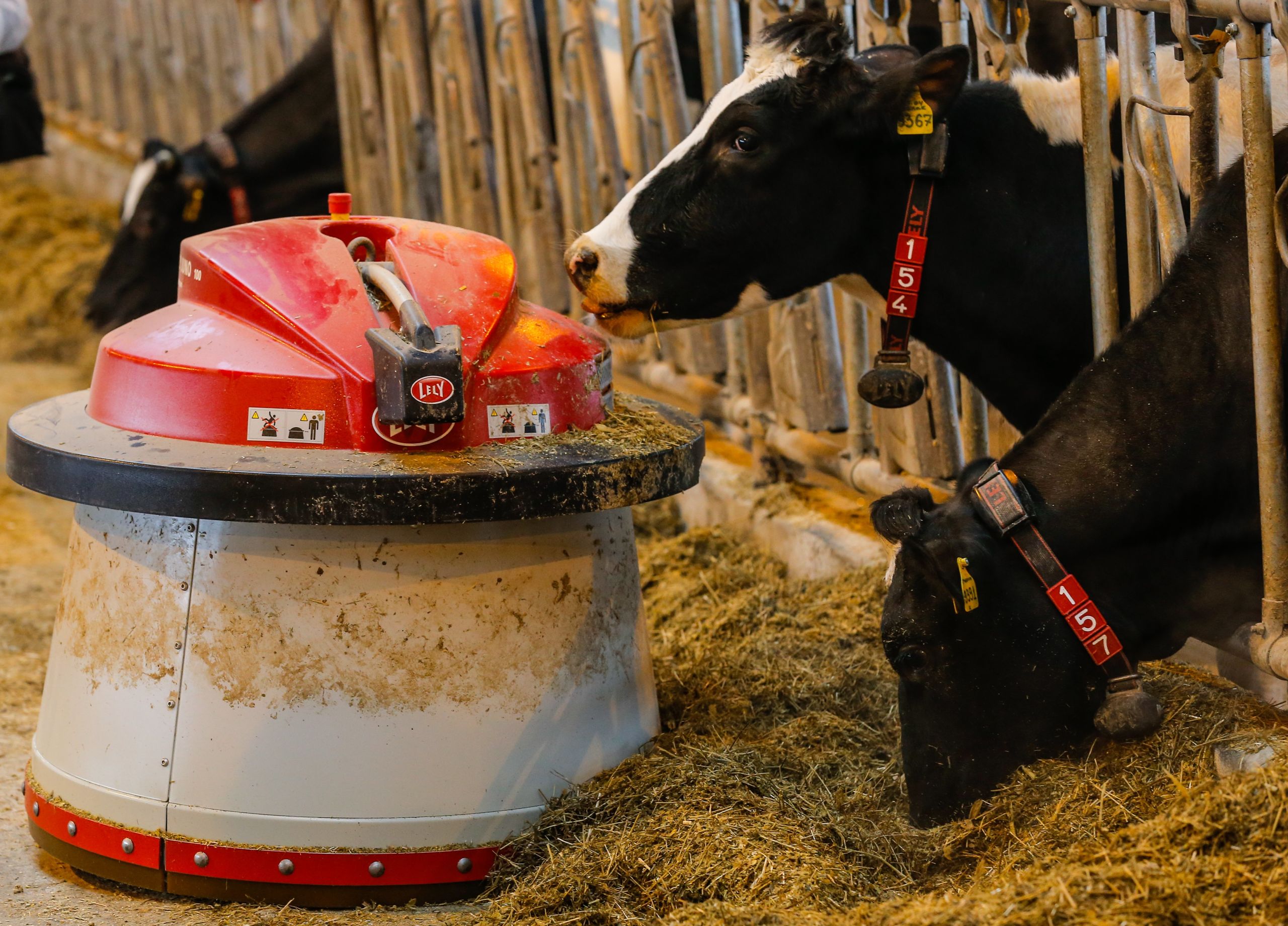 Een voederrobot van Lely op een veehouderij in Rusland. 