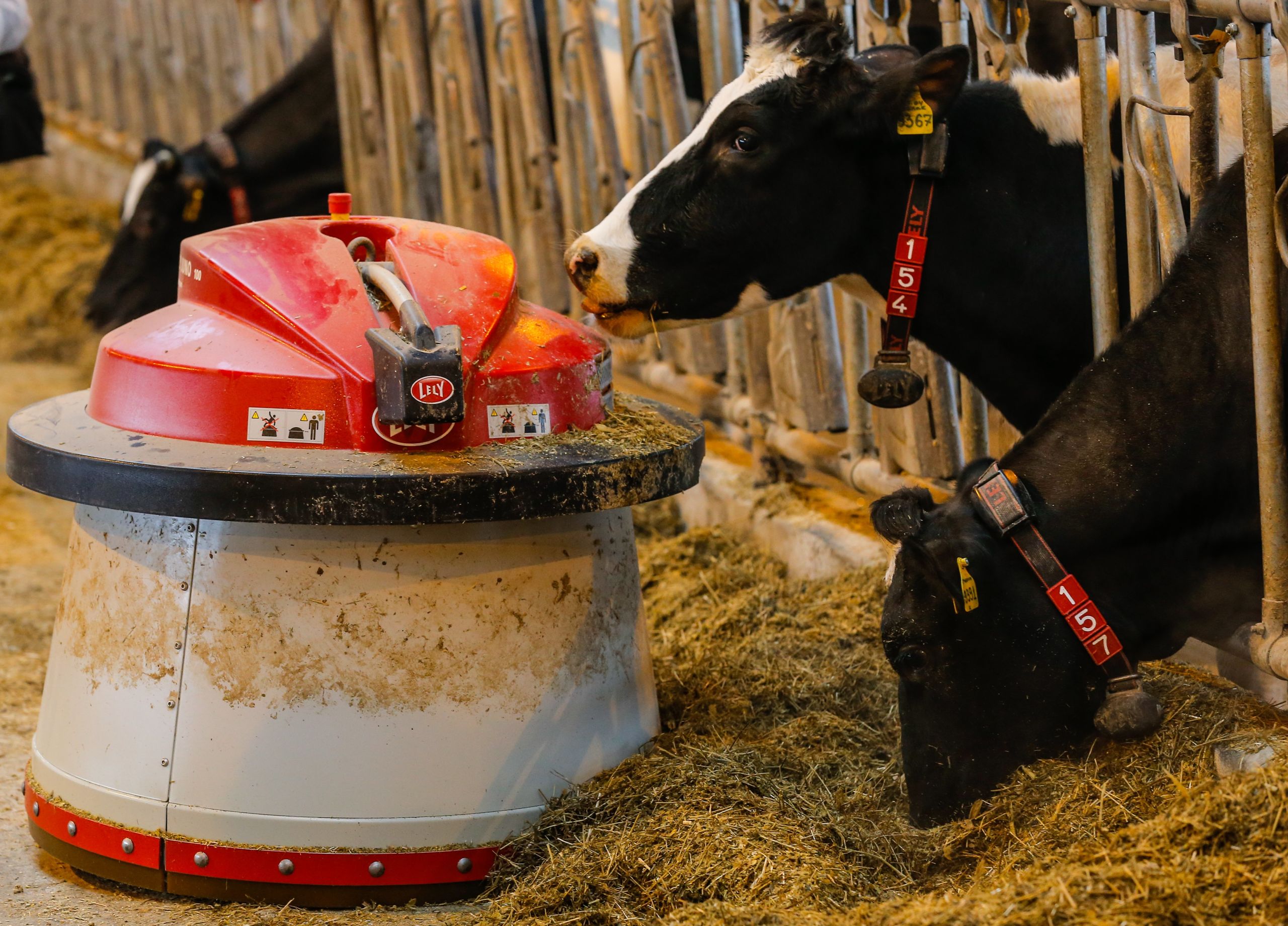 Een voederrobot van Lely op een veehouderij in Rusland.