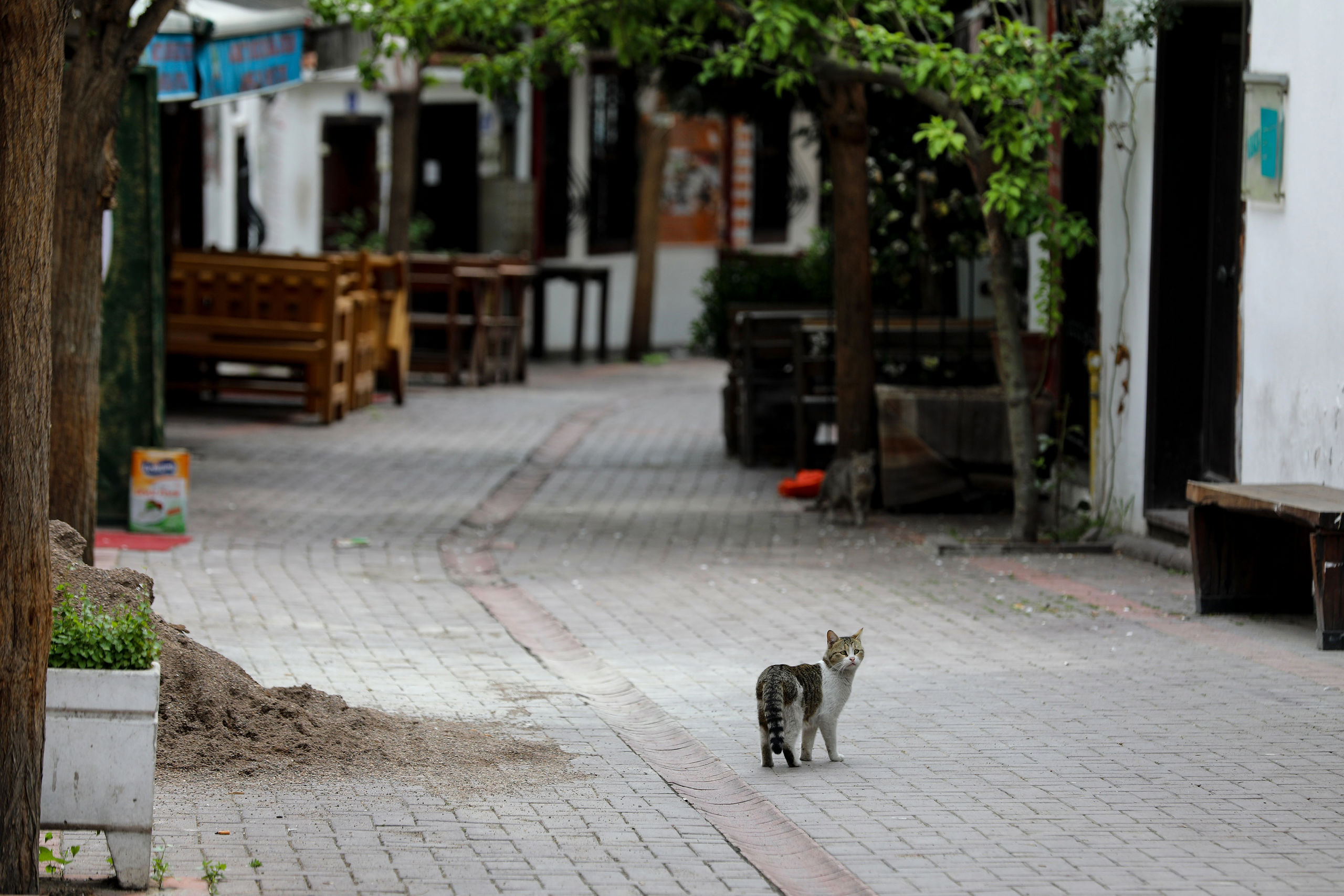 Lege straten in het toeristische district van Ankara