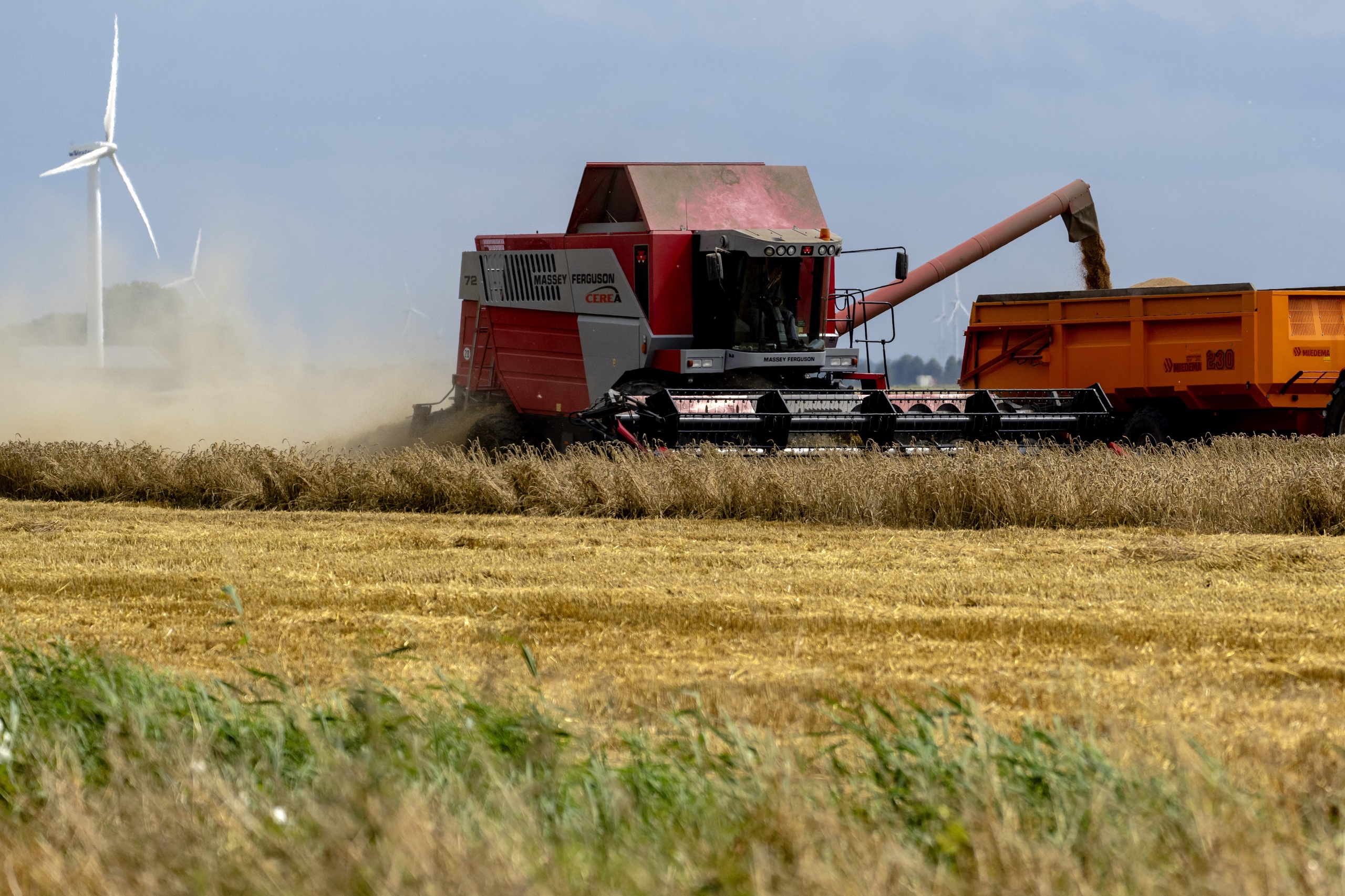 ZEEWOLDE - Een boer oogst zijn tarwe. ANP / Hollandse Hoogte / Sander Koning