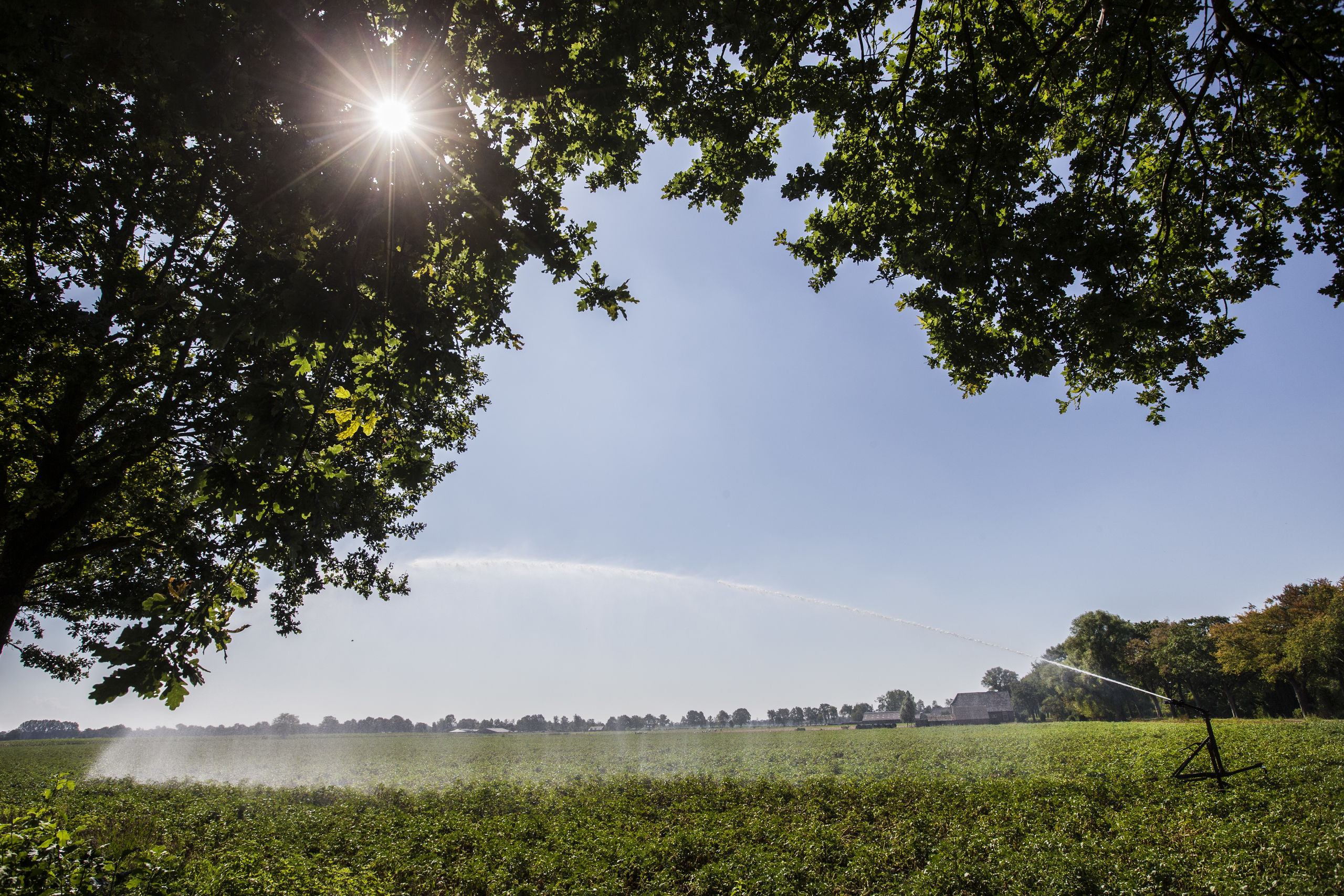 Biologische landbouw is niet altijd goed voor het milieu, blijkt uit Brits onderzoek.