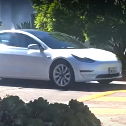 Tesla vindt filmpjes van botsingen 'lasterlijk'