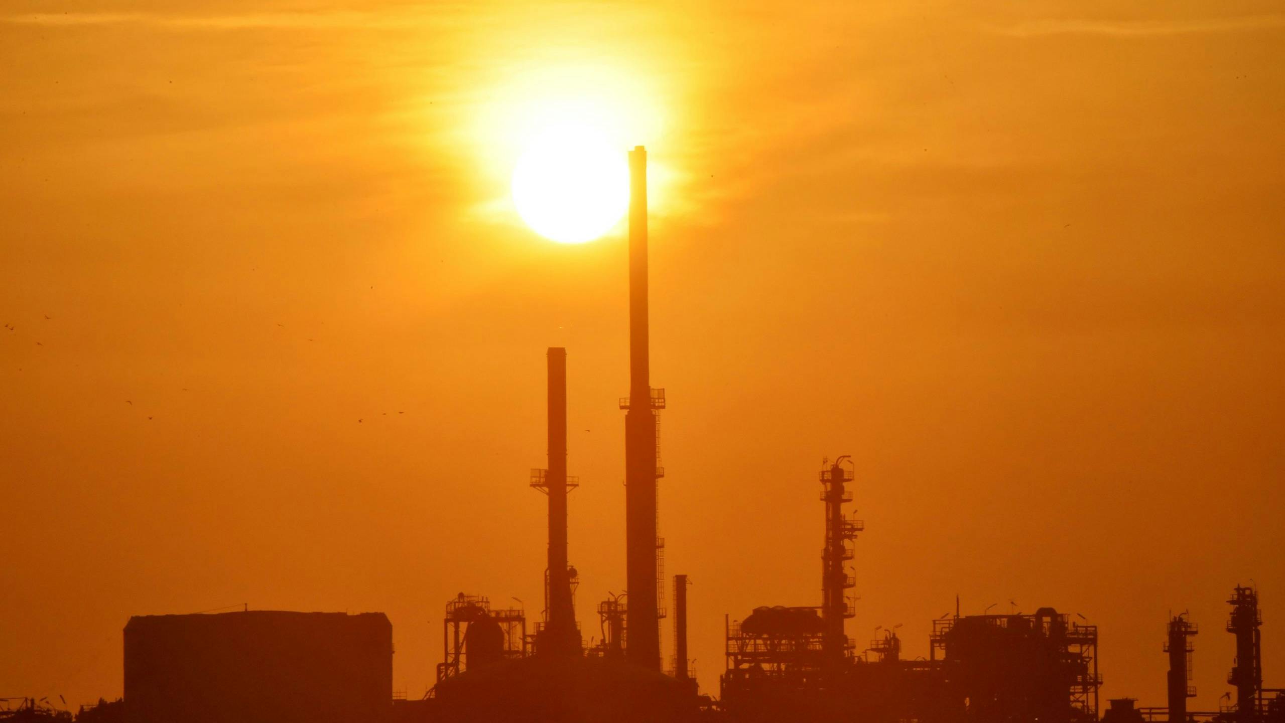 ExxonMobil vindt de inspanningen die de Nederlandse regering eist om de CO2-uitstoot te verlagen te groot.