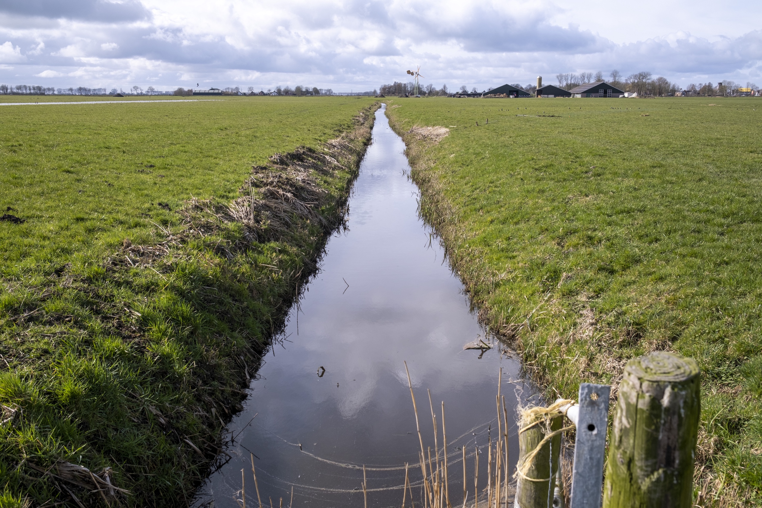 Stikstofplannen Kabinet Mogelijk Terug Naar Tekentafel; Raad Van State ...