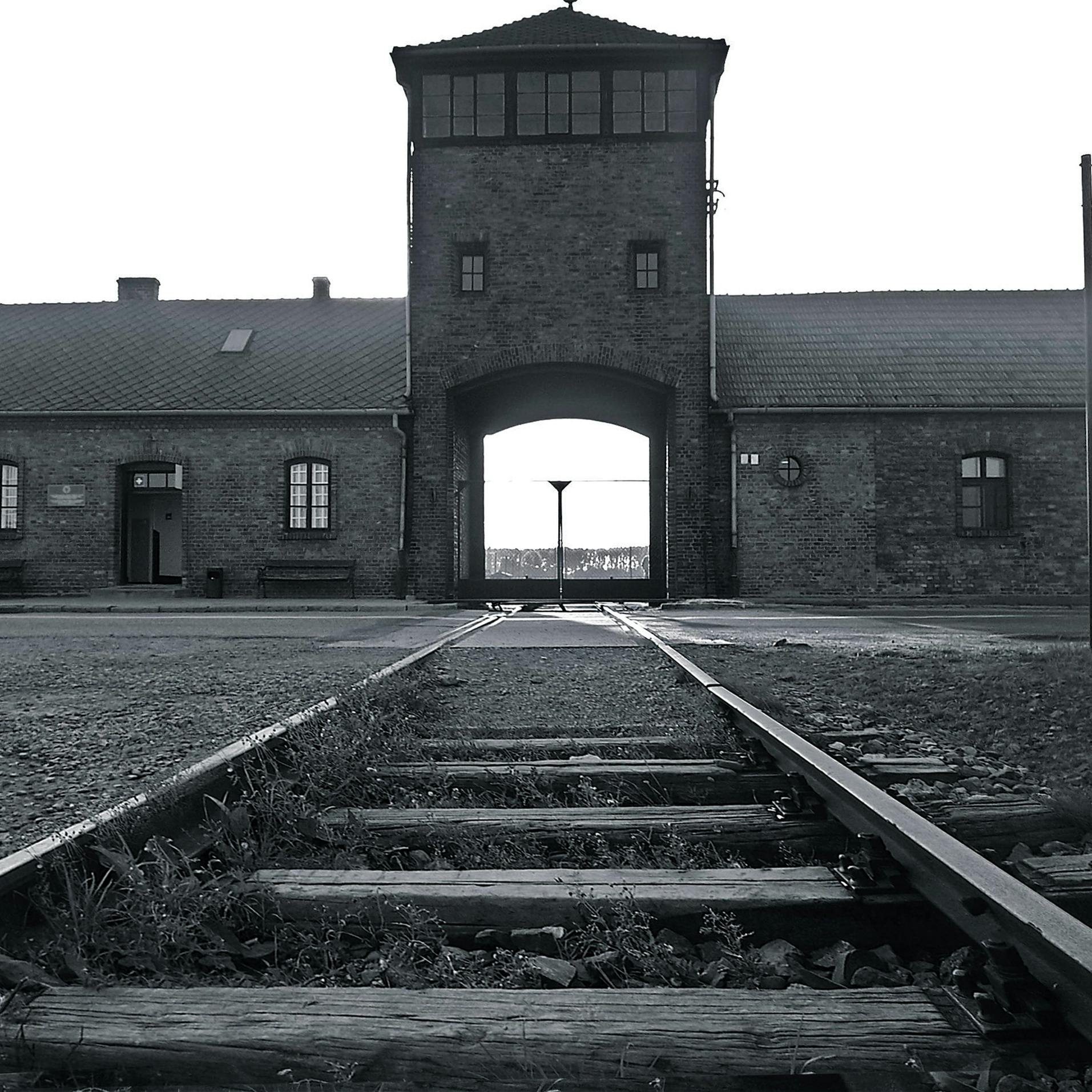 Kritiek op Holocaust-onderzoek: 'Niet-representatief'