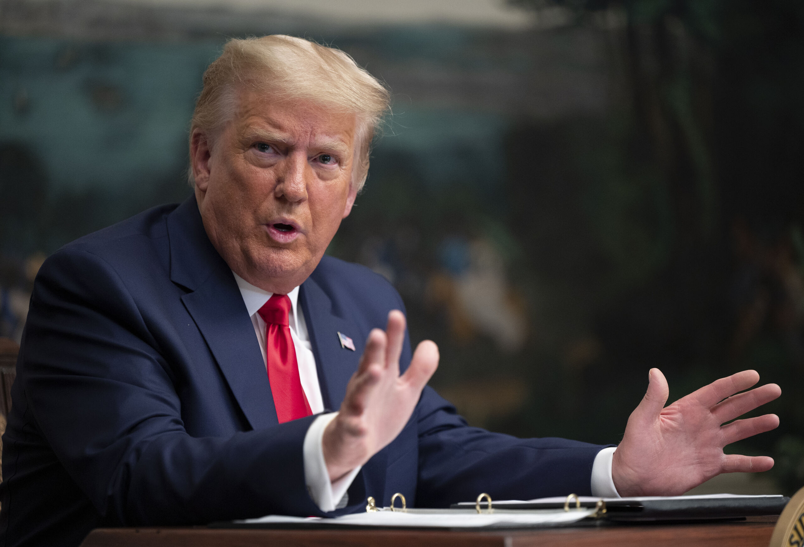 President Donald Trump